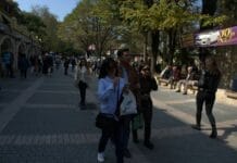 A Ride Full of Smells Sounds and Memories