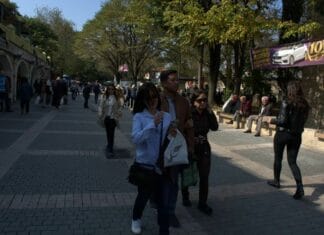 A Ride Full of Smells Sounds and Memories