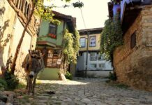 Smaller Towers on the Outer Wall