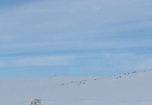 A Personal Interpretation of the Story