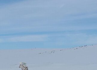 A Personal Interpretation of the Story