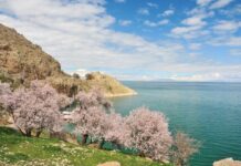 Reminders of Mortality Along the Road